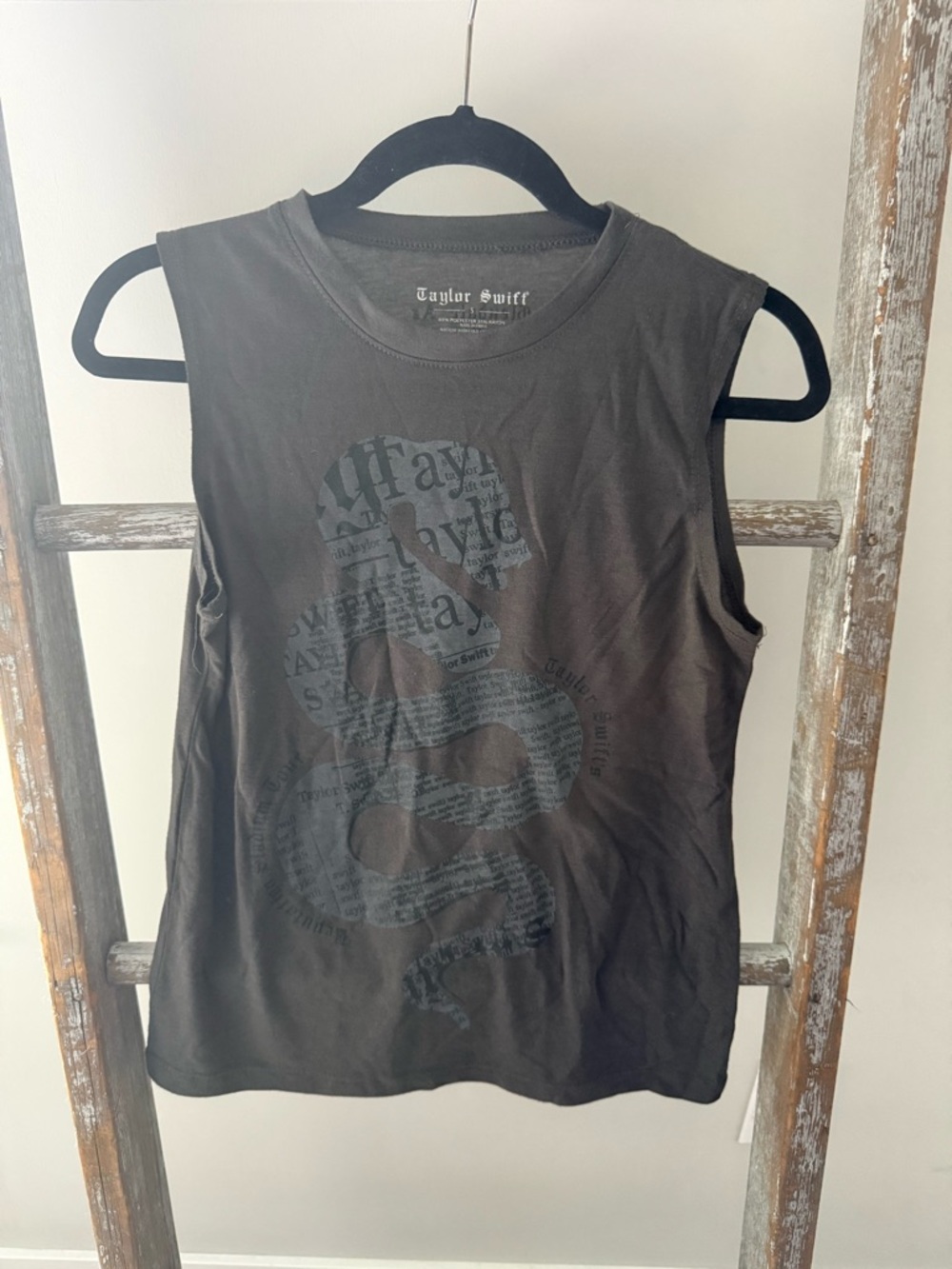 Taylor Swift reputation stadium tour S